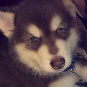 Meet your Posher, Cheryl